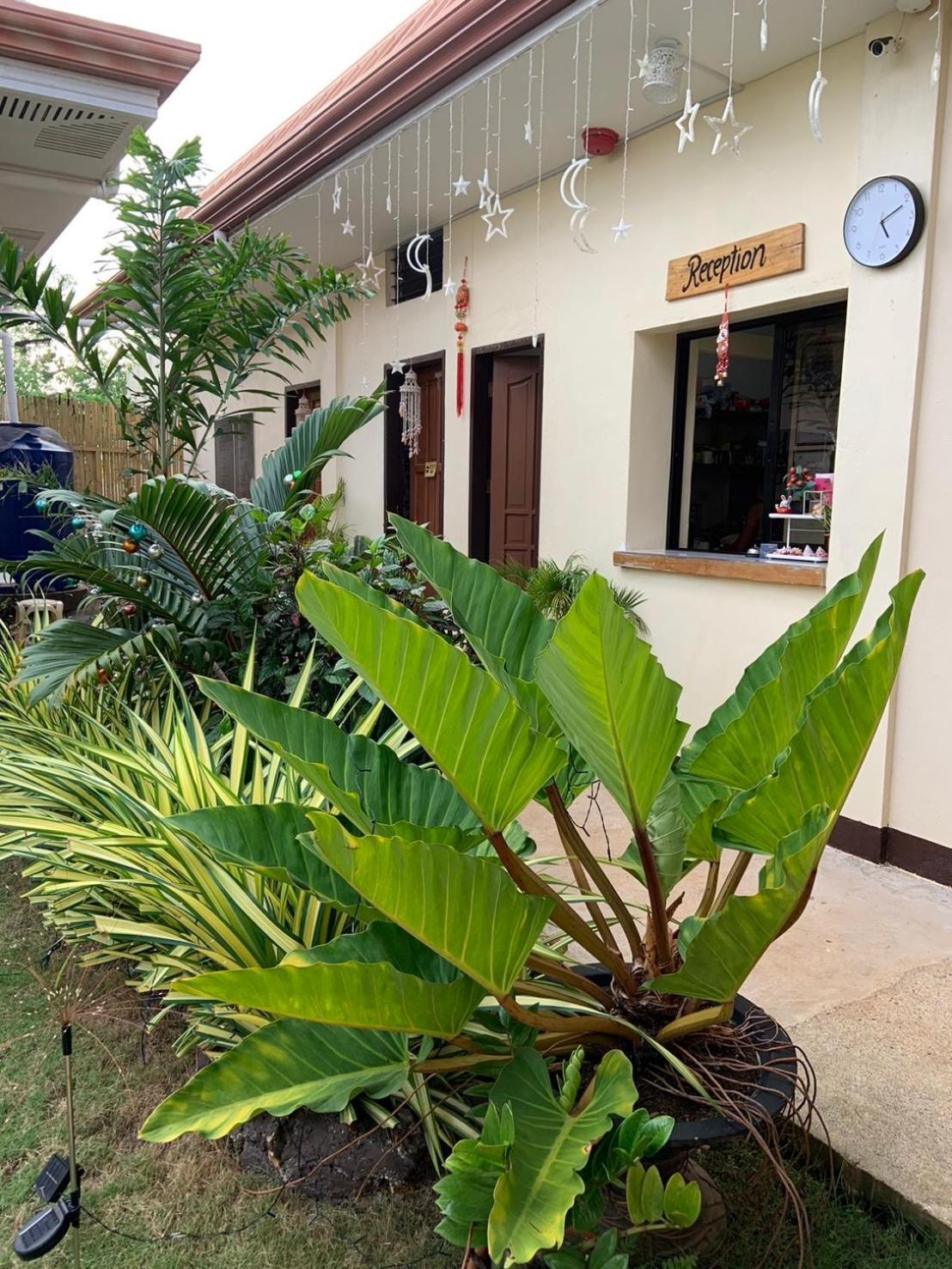 Apartment Mingche Panglao